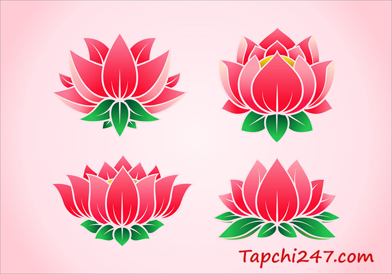 mẫu logo hoa sen đẹp