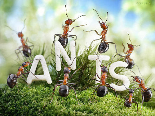 8-we-are-the-ants