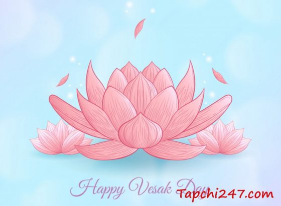 50+ mẫu vector hoa sen đẹp! - Tạp chí 247