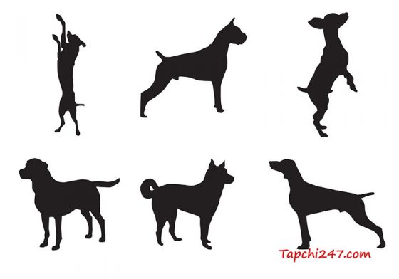 40+ mẫu con chó vector đẹp - Tạp chí 247