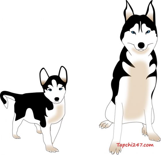40+ mẫu con chó vector đẹp - Tạp chí 247